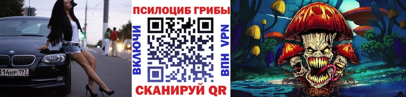 Купить где  Заринск  Псилоцибиновые грибы Cubensis 